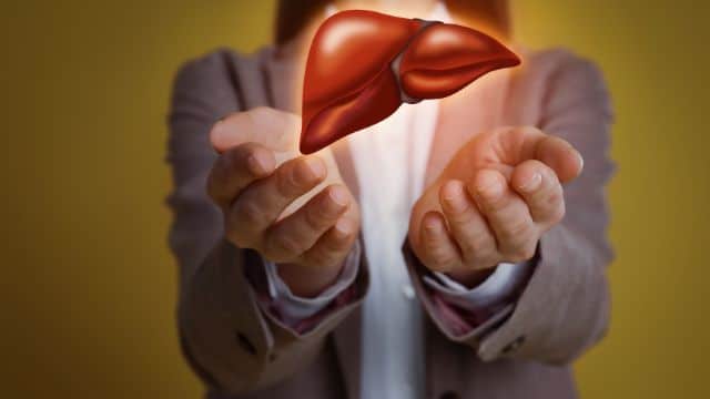 Como cuidar bem do fígado, fígado saudável